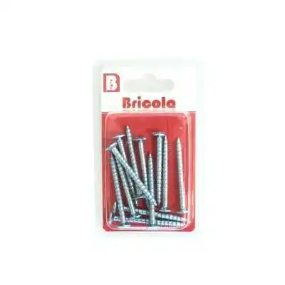 LOT DE 12 VIS À TOLE TETE CYLINDRIQUE BOMBÉE PZ 4.8*45MM BRICOLA BRICOLA - 1