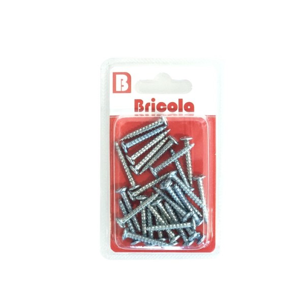 LOT DE 30 VIS À TOLE TETE CYLINDRIQUE BOMBÉE PZ 3.9*28MM BRICOLA