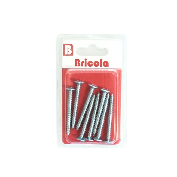 LOT DE 8 VIS TOLE TETE CYLINDRIQUE BOMBÉE 5.5*50MM BRICOLA