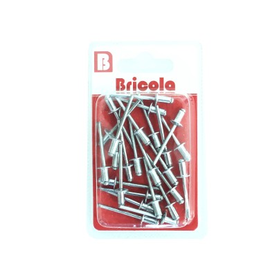 RIVET POP ALL 4*8MM LOT DE 26 BRICOLA BRICOLA - 2