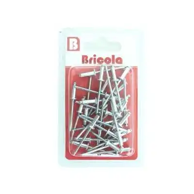 LOT DE 30 RIVET POP ALUMINIUM 3.2*10 MM BRICOLA BRICOLA - 2
