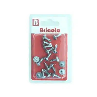 LOT DE 18 VIS AUTOPERCEUSE TETE CYLINDRIQUE BOMBÉE 4.2*13MM BRICOLA