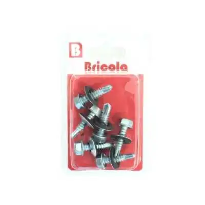 LOT DE 6 VIS AUTOPERCEUSE AVEC RONDELLE TETE HEXAGONALE 6.3*25MM BRICOLA