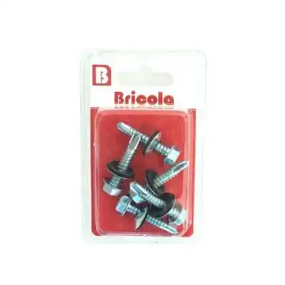 LOT DE 5 VIS AUTOPERCEUSE AVEC RONDELLE TETE HEXAGONALE 6.3*32MM BRICOLA