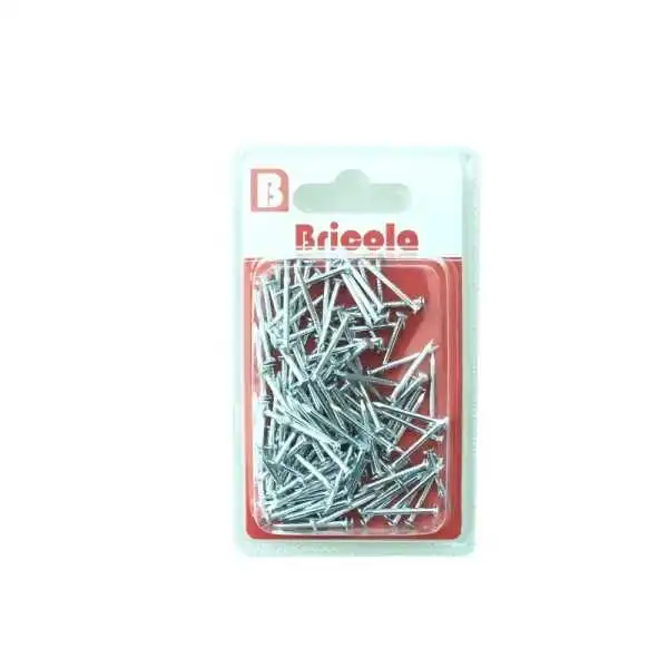 CLOU TETE PLATE 27MM 50G BRICOLA