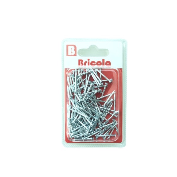 CLOU TETE PLATE 25MM 45G CHROMÉ BRICOLA