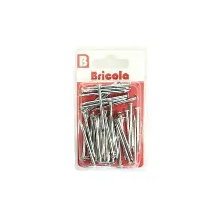 CLOU TETE PLATE 40MM 50G CHROMÉ BRICOLA BRICOLA - 2