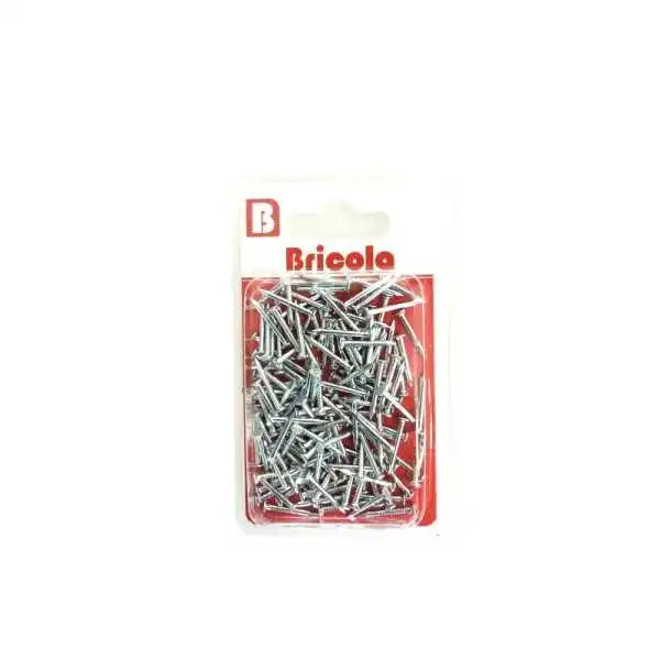 CLOU TETE PLATE 15MM 45G CHROMÉ BRICOLA