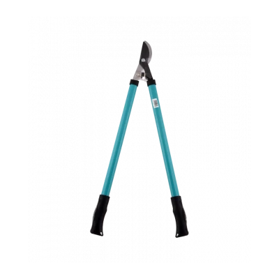 COUPE BRANCHE 3549 GREEN SEASONS - 1