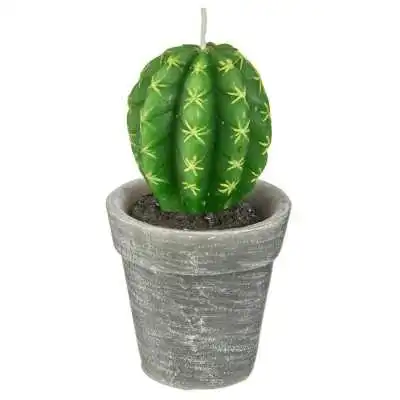 BOUGIE PLANTE 200G ATMOSPHERA ATMOSPHERA - 1