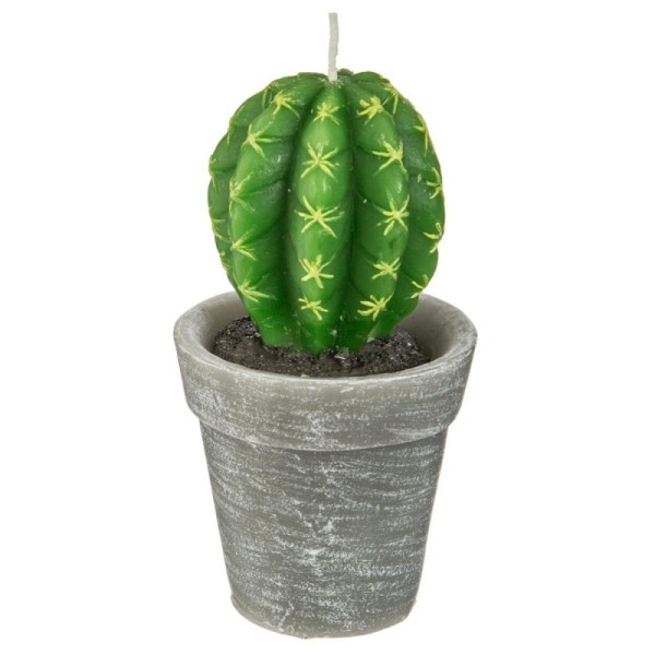 BOUGIE PLANTE 200G ATMOSPHERA