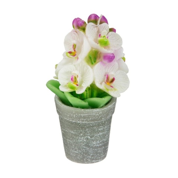 BOUGIE ORCHIDÉE 170G ATMOSPHERA