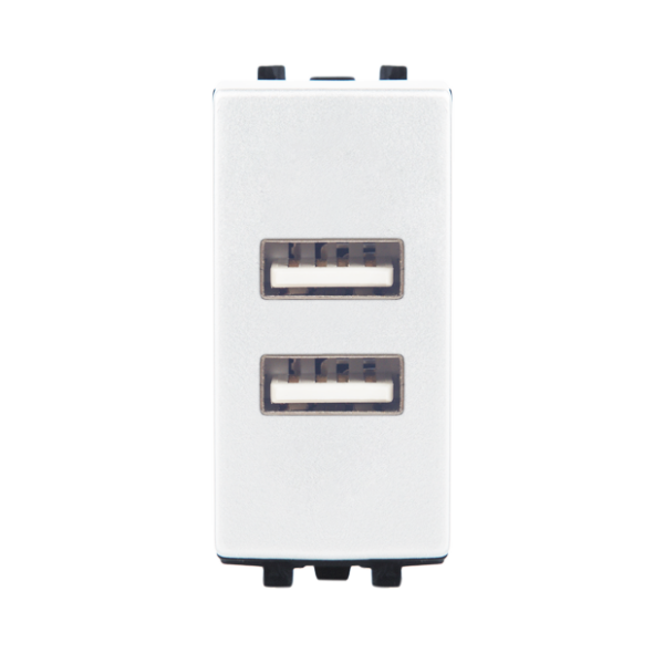 PRISE USB DOUBLE BLANC ALPHA
