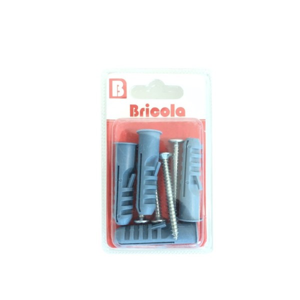 LOT DE 4 VIS TÔLE TÊTE FRAISÉE BOMBÉE 5.5*50MM AVEC CHEVILLE DE 12 BRICOLA