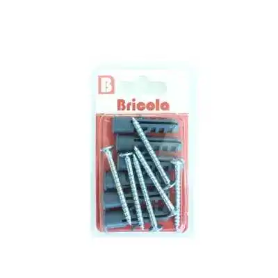LOT DE 6 VIS TÔLE TÊTE FRAISÉE BOMBÉE 4.5*45MM AVEC CHEVILLE DE 10 BRICOLA BRICOLA - 1
