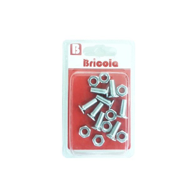 LOT DE 8 BOULON TETE FRAISÉE PLATE M6*16MM ACIER ZINGUE BRICOLA