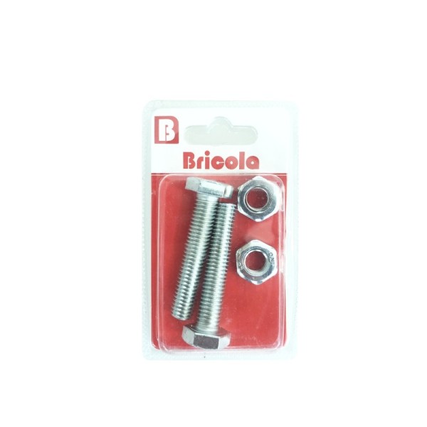 LOT DE 2 BOULONS HEXAGONAUX M10*50MM ACIER ZINGUE BRICOLA