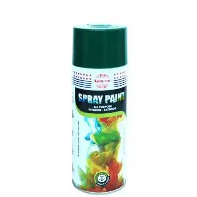 PEINTURE EN SPRAY VERT FONCÉ 400ML ASMACO ASMACO - 1