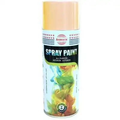 BOMBE À PEINTURE EN AÉROSOL BEIGE 400 ML ASMACO ASMACO - 1