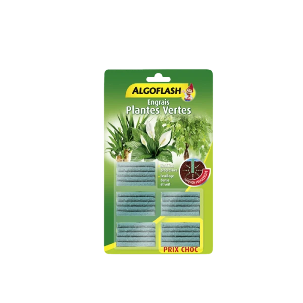 25 BÂTONNETS ENGRAIS PLANTES VERTES ALGOFLASH