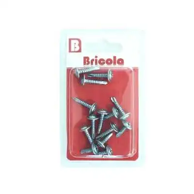 LOT DE 14 VIS AUTOPERCEUSE TETE CYLINDRIQUE BOMBÉE 4.2*20MM BRICOLA