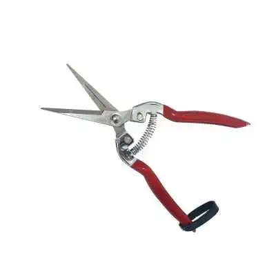 CISAILLE POUR RÉCOLTE DE FRUITS 200MM GARD-11 - 1 CISAILLE POUR RÉCOLTE DE FRUITS 200MM GARD-11 - 1