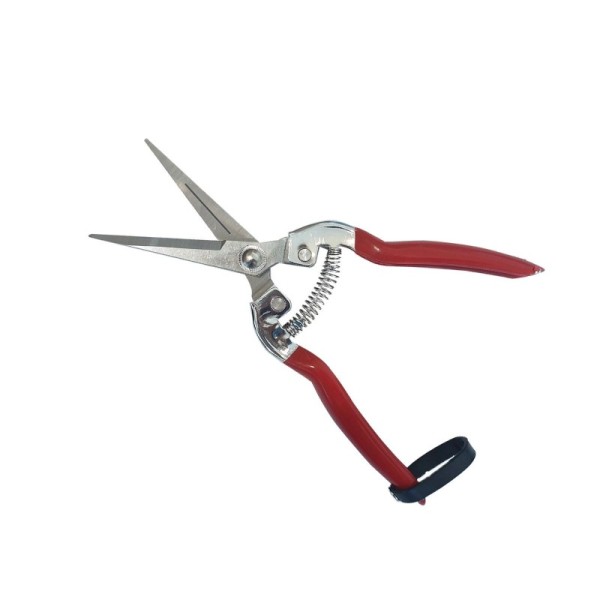 CISAILLE POUR RÉCOLTE DE FRUITS 200MM GARD-11