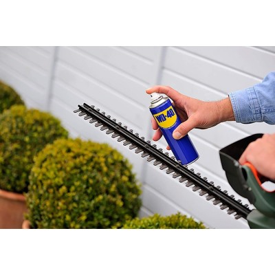 MULTI-FONCTIONS 5 EN 1 250ML WD-40 WD-40 - 2