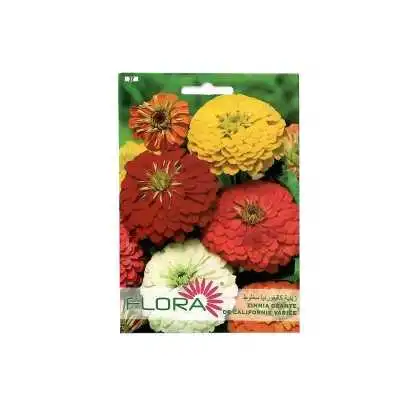 ZINNIA GÉANTE DE CALIFORNIE VARIÉE FLORA - 1