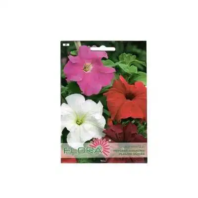 PETUNIA GRANDES FLEURS VARIÉE FLORA - 1