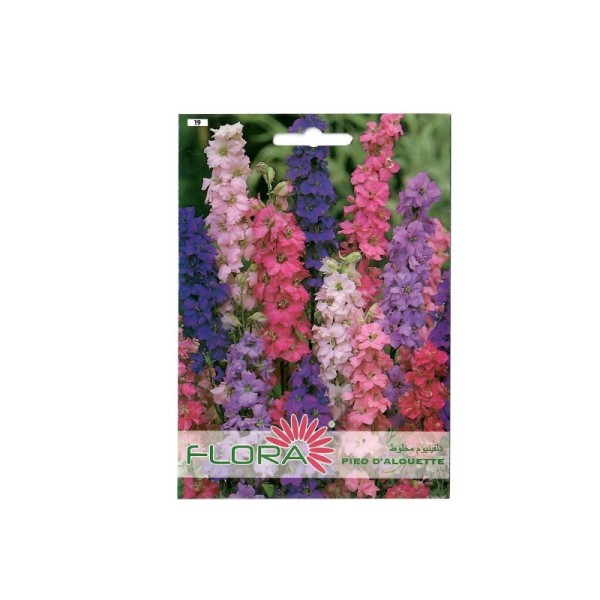 PIED D'ALOUETTE FLORA