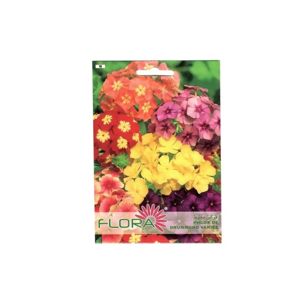PHLOX DE DRUMMOND VARIÉE FLORA