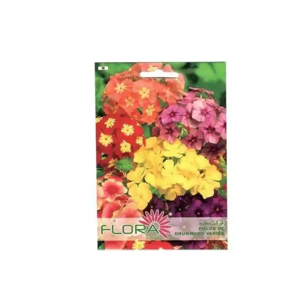 PHLOX DE DRUMMOND VARIÉE FLORA