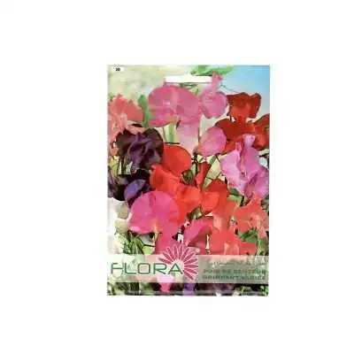 POIS DE SENTEUR GRIMPANT VARIÉE FLORA - 1