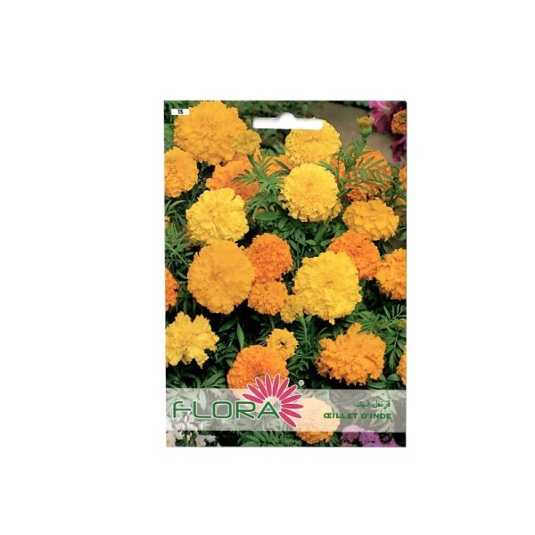 OEILLET D'INDE FLORA