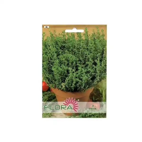 FLEUR THYM FLORA