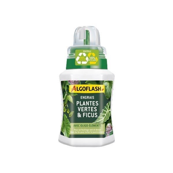 ENGRAIS LIQUIDE PLANTES VERTES ET FICUS 250ML ALGOFLASH
