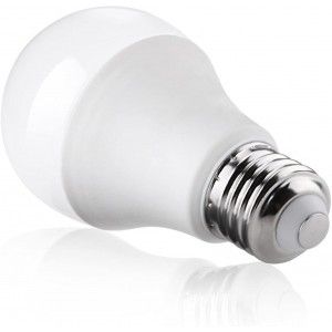 LAMPE LED E27 A80 20W 220V BLANC FROID 6000K RADIANCE LIGHTING RADIANCE LIGHTING - 2