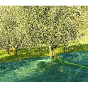 FILET DE RÉCOLTE DES OLIVES 3*6M  - 3