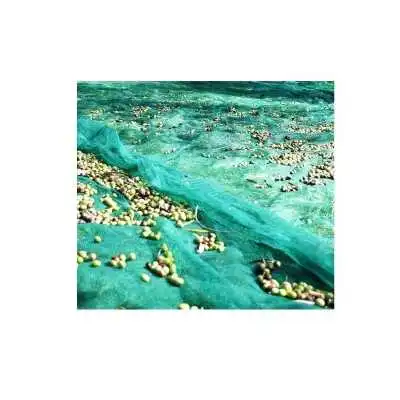 FILET DE RÉCOLTE DES OLIVES 4*8M - 4