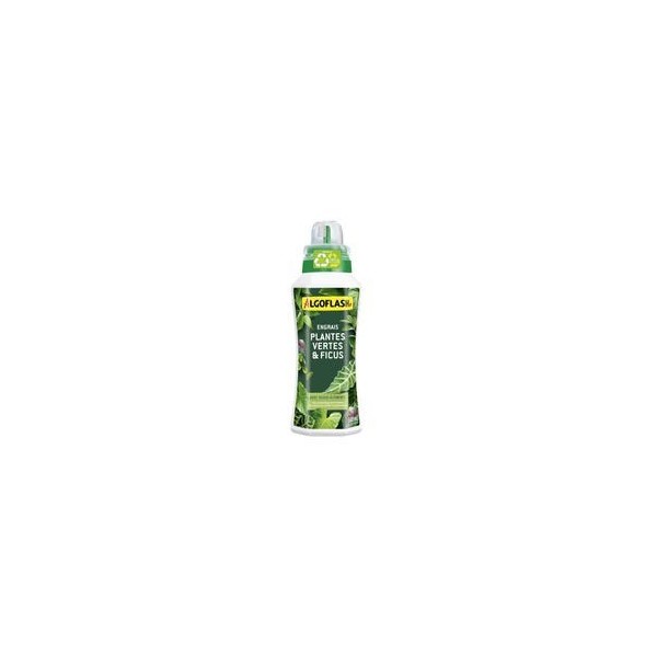 ENGRAIS LIQUIDE PLANTES VERTES ET FICUS 500ML ALGOFLASH