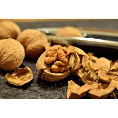 CASSE NOIX FACKELMANN FACKELMANN - 2