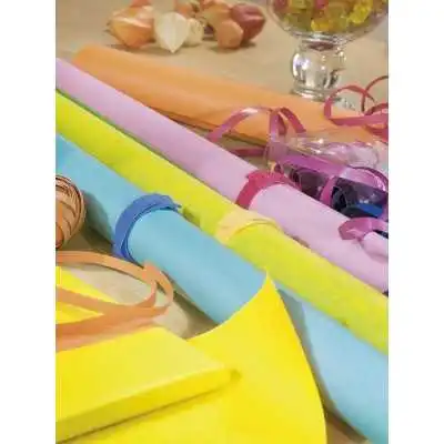 LOT DE 5 ATTACHES-CÂBLES SCRATCH 20CM×12MM TESA TESA - 6