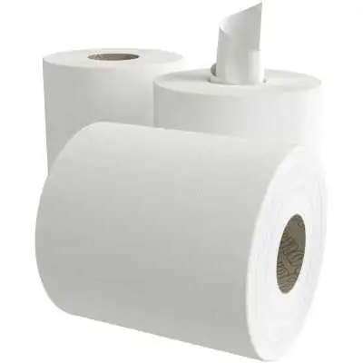 LOT DE 6 ROULEAUX PAPIER ESSUIE MAINS 210x115MM RENOVA RENOVA - 2