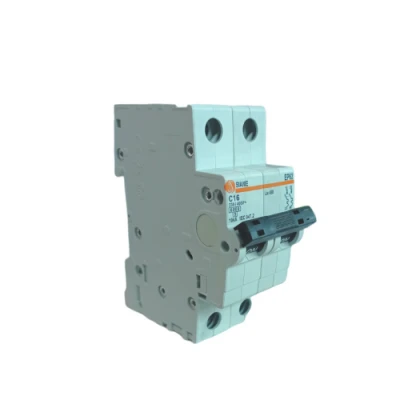 DISJONCTEUR MODULAIRE 2*16 SIAME SIAM - 1