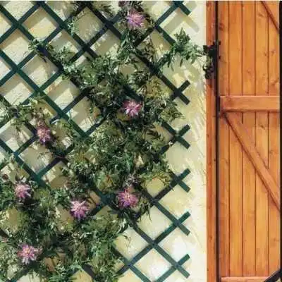 TREILLIS EN PVC EXTENSIBLE 0.5*1.5M VERT NORTENE  - 2