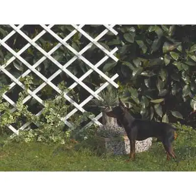 TREILLIS EN PVC EXTENSIBLE 1*2M BLANC NORTENE - 2