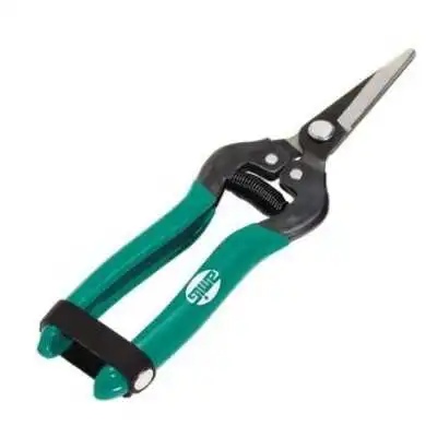 SÉCATEUR À FRUIT 19CM AMIG AMIG - 1