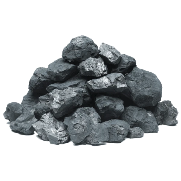 SAC DE 2KG CHARBON DE BOIS