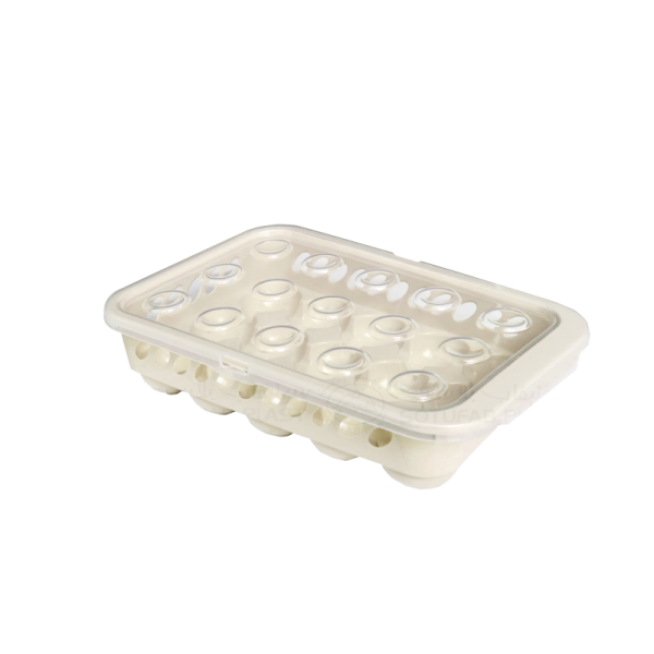 BOÎTE À OEUFS EN PLASTIQUE 15 CASES SOTUFAB PLAST